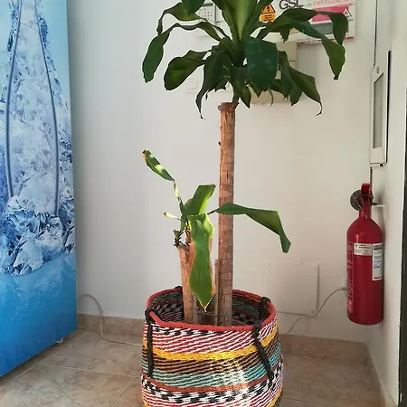 Hostel La Moraga De Poniente Μάλαγα